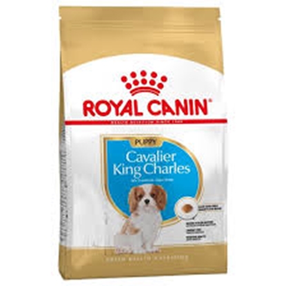 Picture of Royal Canin Cavalier King Charles Puppy